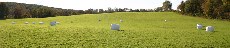 slide-3