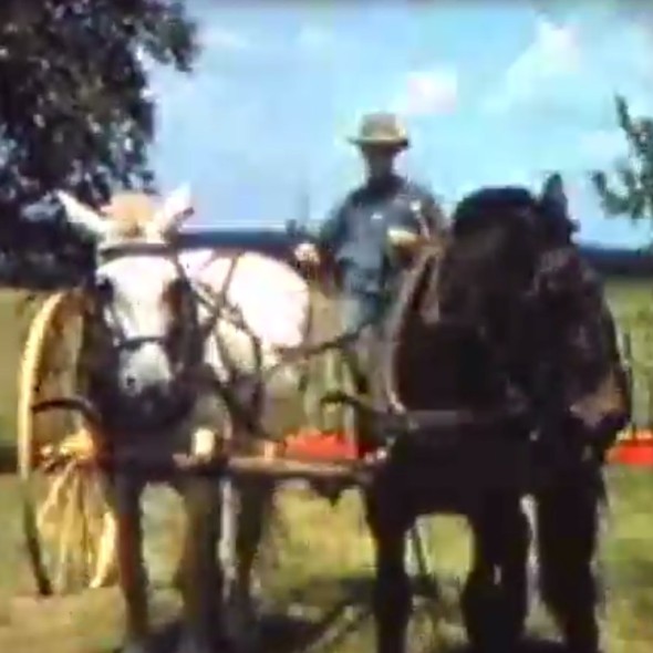 Roseland Ranch, Where All the Good Times Have Gone…. Pine Plains Views in Video