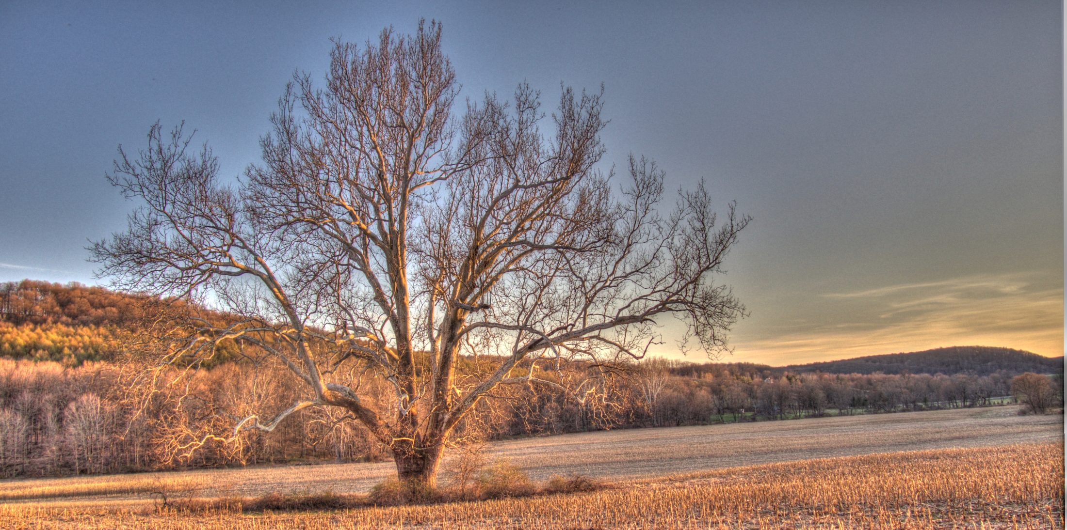 About Pine Plains Views in Video