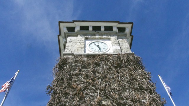 looking at clock