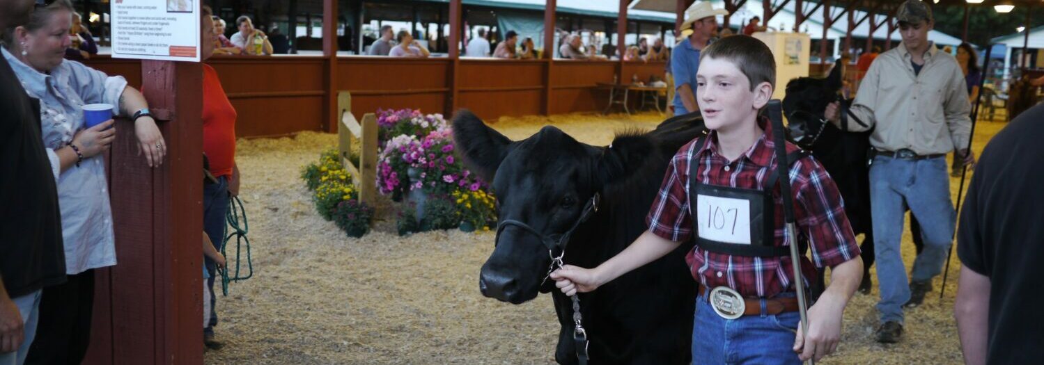 Pine Plains Views in Video