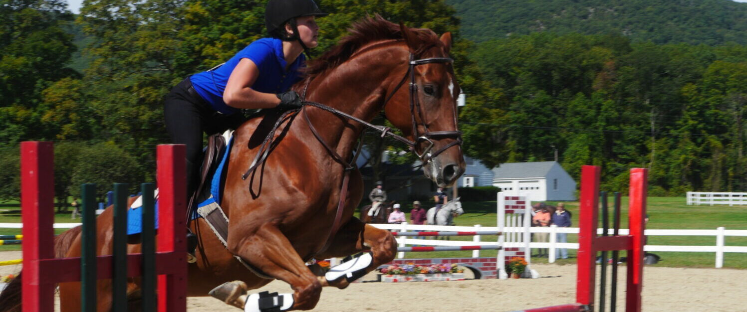 Pine Plains Views in Video