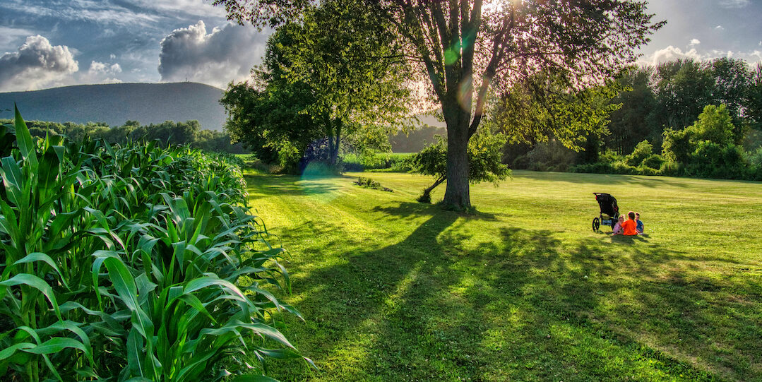 Pine Plains Views in Video